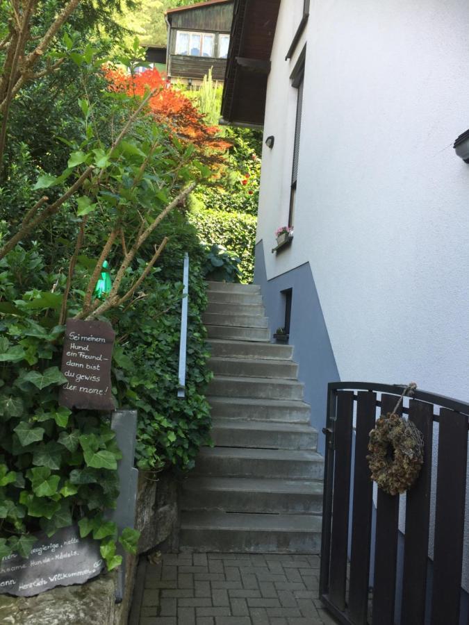 Apartment Luna Pirna